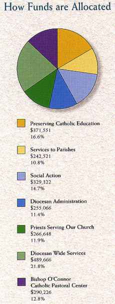 chart of how DSA funds are allocated