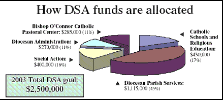 chart of how Diocesan Services Appeal funds are allocated